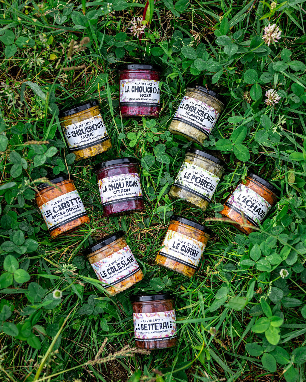 Lactos Immunité - Le pot 180 gr